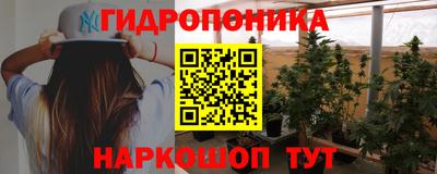 амф Заволжье