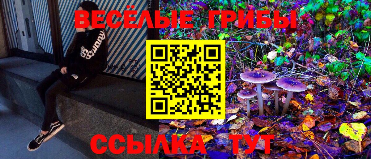 Псилоцибиновые грибы Psilocybe Уварово